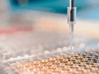 FAU-Forschung: Warum Killerzellen nur manchmal aktiv werden FAU-Forschung: Warum Killerzellen nur manchmal aktiv werden