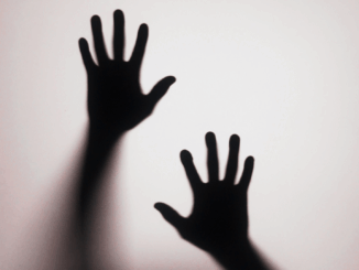 Diese Horrorfilme schauen die Deutschen zu Halloween am liebsten Diese Horrorfilme schauen die Deutschen zu Halloween am liebsten