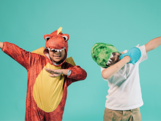 Online-Kostümkauf vor Karneval: Was Verbraucher beachten sollten