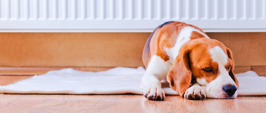 Norden heizt etwas kühler als der Süden