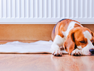 Norden heizt etwas kühler als der Süden