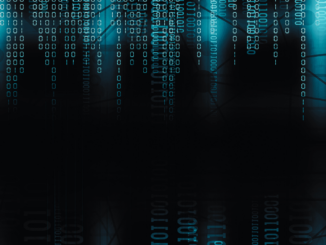 Internetnutzung 2025: Ältere Menschen besonders häufig offline