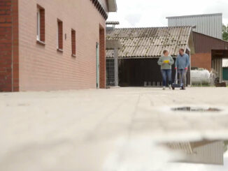 Amtsschimmel im Dauergalopp: SAT.1-Reportage rechnet mit deutschem Verwaltungsapparat ab