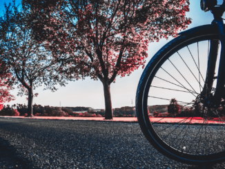 Defektes Fahrrad aus dem Internet: Rechtsexperte erklärt, wann der Händler haften muss