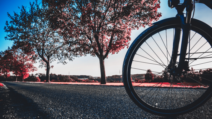 Fahrrad (über markusloew)