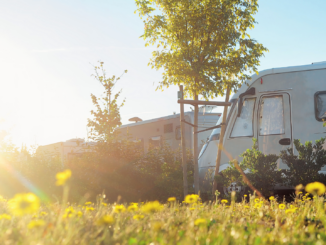 Schleswig-holsteinische Ostsee Nummer eins: Camping-Rekord 2025 mit 44,7 Millionen Übernachtungen