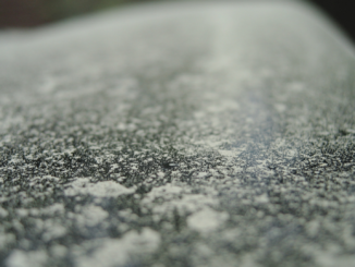 Blütenstaub auf Scheibe und in der Lüftung: Was Autofahrer in der Pollensaison tun sollten