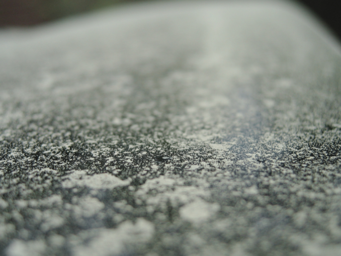Blütenstaub auf Scheibe und in der Lüftung: Was Autofahrer in der Pollensaison tun sollten