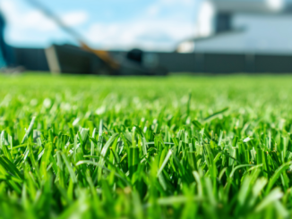 Rasen nach dem Winter: Diese Fehler machen Gartenbesitzer jedes Jahr aufs Neue